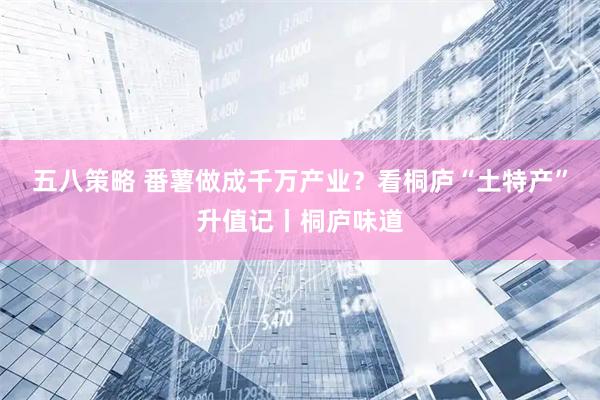 五八策略 番薯做成千万产业？看桐庐“土特产”升值记丨桐庐味道