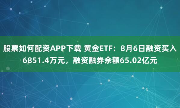 股票如何配资APP下载 黄金ETF：8月6日融资买入6851.4万元，融资融券余额65.02亿元
